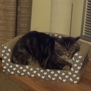 Meet your Posher, Cecilia